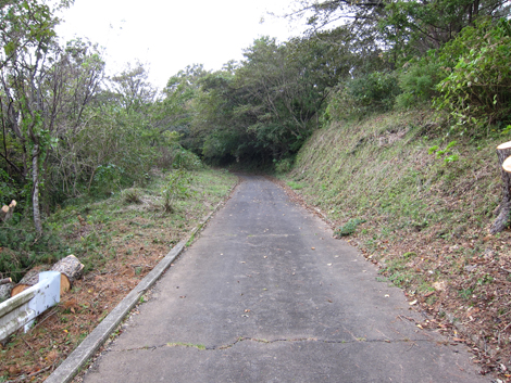 20191024hike (63)